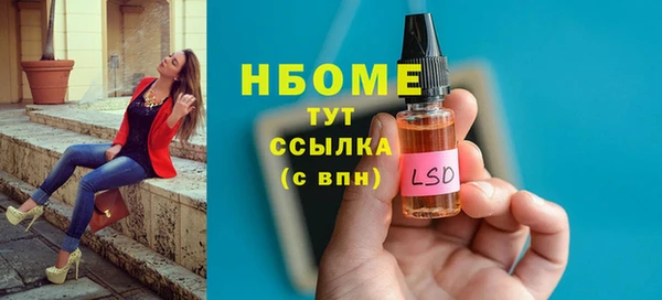 ГАЛЛЮЦИНОГЕННЫЕ ГРИБЫ Алзамай
