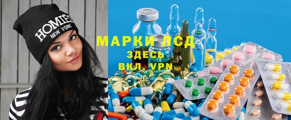 ГАЛЛЮЦИНОГЕННЫЕ ГРИБЫ Алзамай
