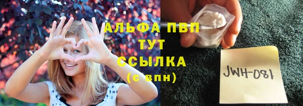 мдпв Горняк