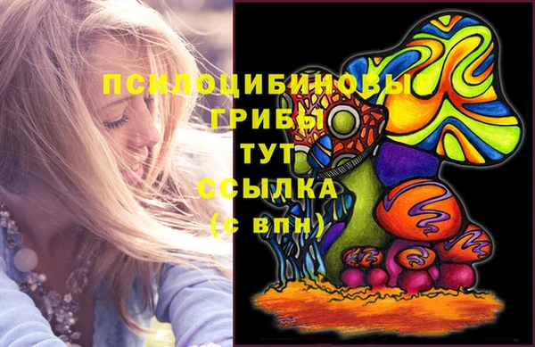 ГАЛЛЮЦИНОГЕННЫЕ ГРИБЫ Алзамай