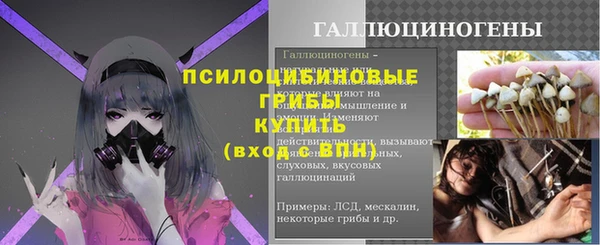стаф Абаза