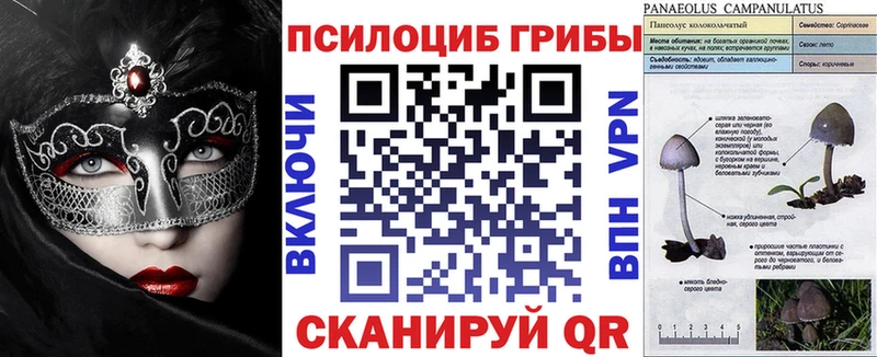 Галлюциногенные грибы мицелий  shop официальный сайт  Катайск  сколько стоит 